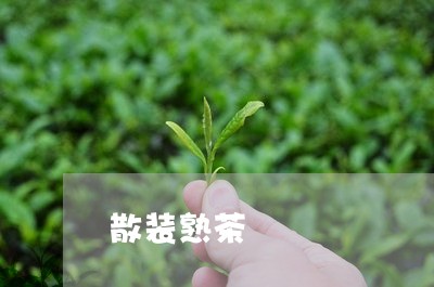 散装熟茶/2023121860705