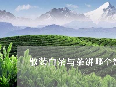 散装白茶与茶饼哪个好/2023100182926