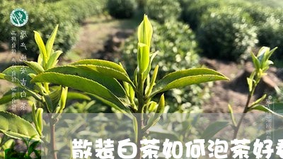 散装白茶如何泡茶好看点/2023102568614