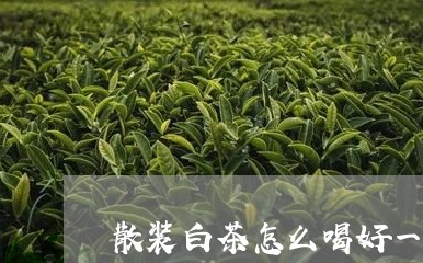 散装白茶怎么喝好一点/2023100101830