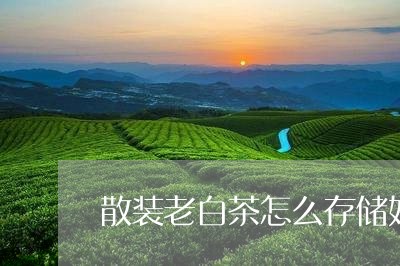 散装老白茶怎么存储好/2023100155258