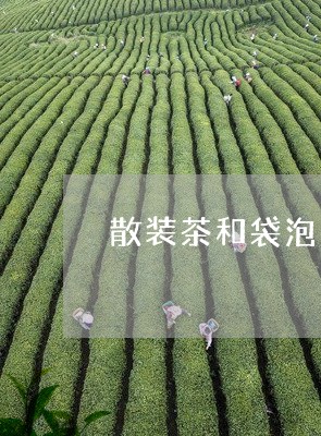 散装茶和袋泡茶哪个好/2023071537359