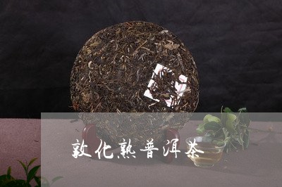 敦化熟普洱茶/2023042804617