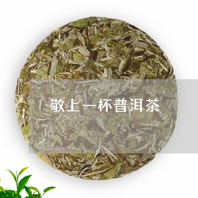 敬上一杯普洱茶/2023081860816