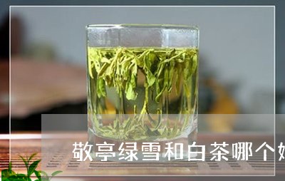 敬亭绿雪和白茶哪个好/2023100145138