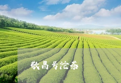 敬昌号沱茶/2023090227058