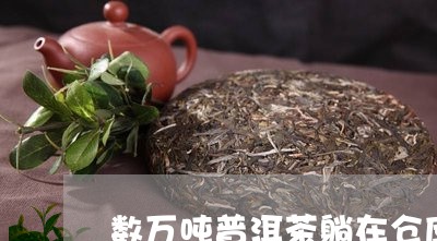 数万吨普洱茶躺在仓库/2023072311707