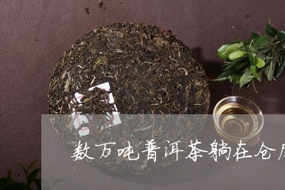 数万吨普洱茶躺在仓库/2023092786379