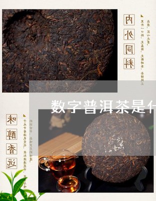 数字普洱茶是什么茶/2023070907151