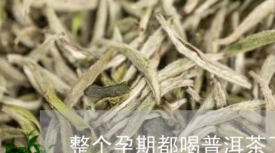 整个孕期都喝普洱茶了/2023062279482