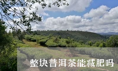 整块普洱茶能减肥吗/2023120540581