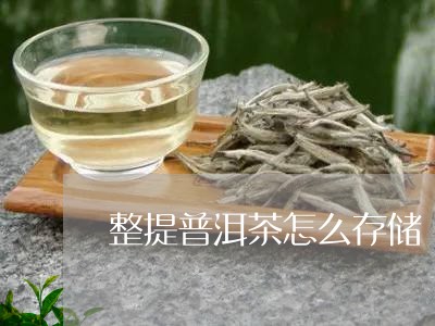 整提普洱茶怎么存储/2023110495249