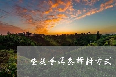 整提普洱茶拆封方式/2023120561594