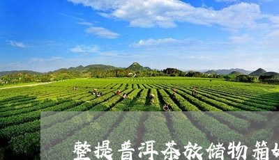 整提普洱茶放储物箱好吗/2023121669383