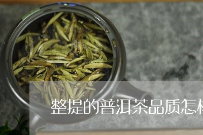 整提的普洱茶品质怎样/2023092862606