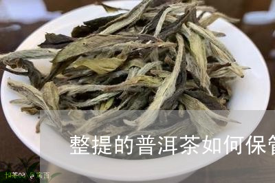 整提的普洱茶如何保管/2023062213038