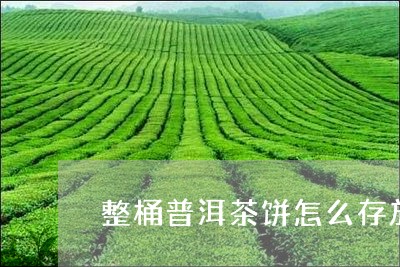 整桶普洱茶饼怎么存放/2023101752841