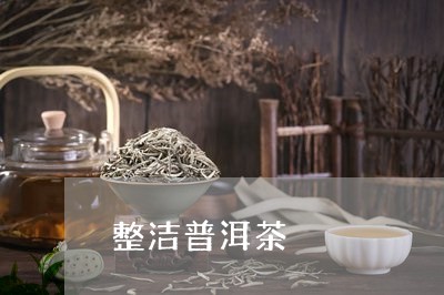 整洁普洱茶/2023102581502