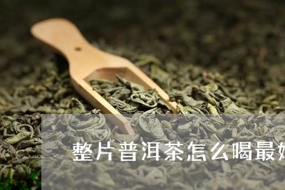 整片普洱茶怎么喝最好喝呢/2023112506260