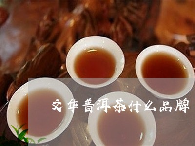 文华普洱茶什么品牌/2023080269373