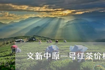 文新中原一号红茶价格/2023092156152