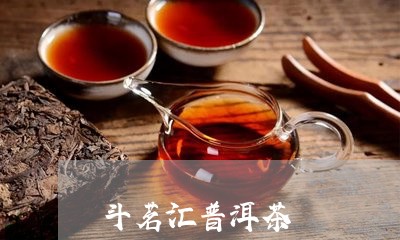 斗茗汇普洱茶/2023042515491