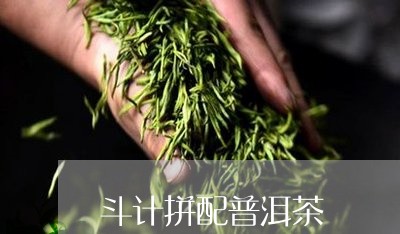 斗计拼配普洱茶/2023082937370