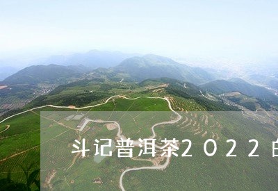 斗记普洱茶2022白茶/2023120739591