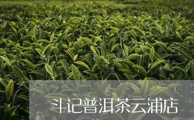 斗记普洱茶云浦店/2023120424150