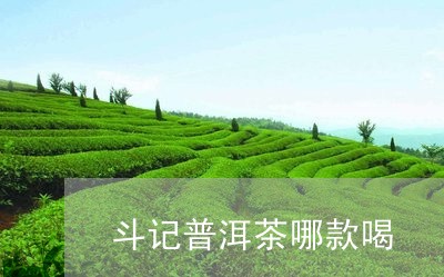 斗记普洱茶哪款喝/2023072382794