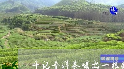 斗记普洱茶喝出一根头发怎么办/2023110580513