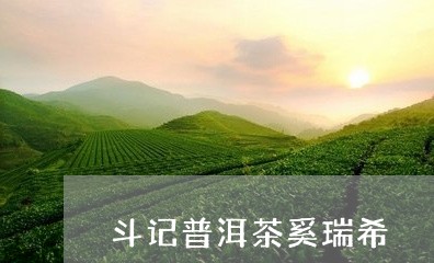 斗记普洱茶奚瑞希/2023101604058