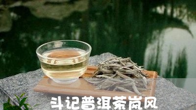 斗记普洱茶岚风/2023112694848