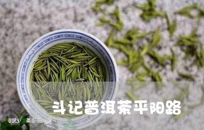 斗记普洱茶平阳路/2023120403715