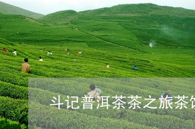 斗记普洱茶茶之旅茶饼/2023062313793