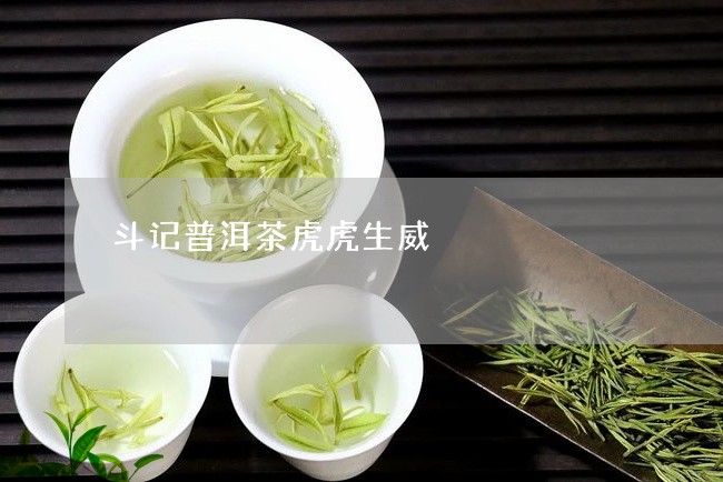 斗记普洱茶虎虎生威/2023091532603