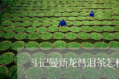 斗记曼新龙普洱茶怎样/2023092974038