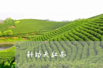 斟功夫红茶/2023110922806