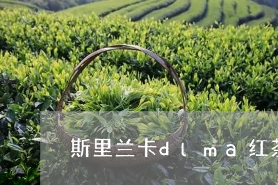 斯里兰卡dlma红茶/2023071448371