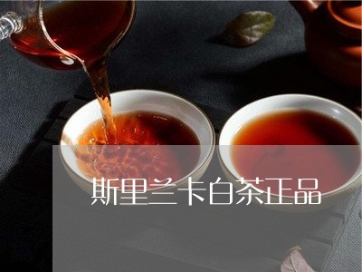 斯里兰卡白茶正品/2023061946671