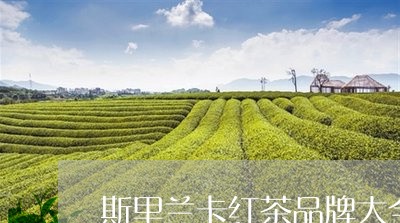 斯里兰卡红茶品牌大全a是什么茶/2023060219271