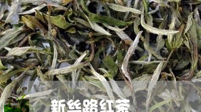 新丝路红茶/2023090271604