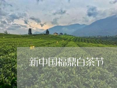 新中国福鼎白茶节/2023061955048