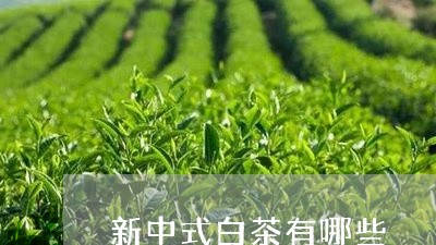 新中式白茶有哪些/2023061940594