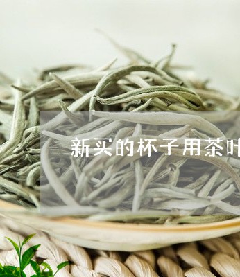 新买的杯子用茶叶水泡/2023092309630