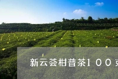 新云荟柑普茶100克/2023071625159