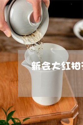 新会大红柑茶普洱茶/2023091424961