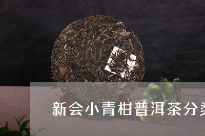 新会小青柑普洱茶分类/2023062296937