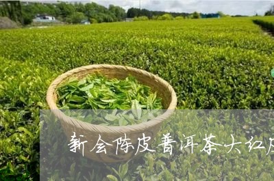 新会陈皮普洱茶大红皮/2023100837250