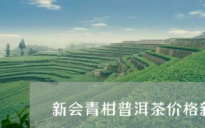 新会青柑普洱茶价格新会桔普茶特性/2023060348460